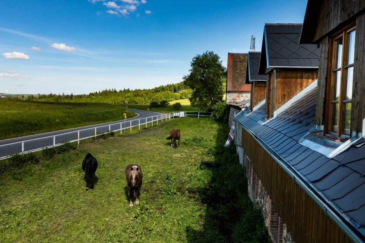 Penzion Dvůr Krasíkov Kokasice Exteriér fotografie